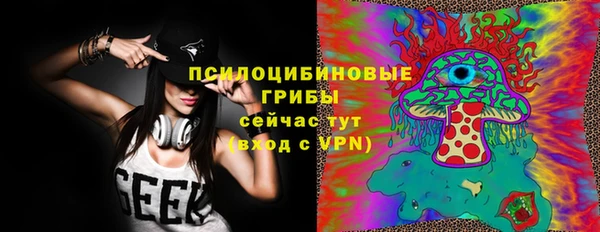 герыч Ельня