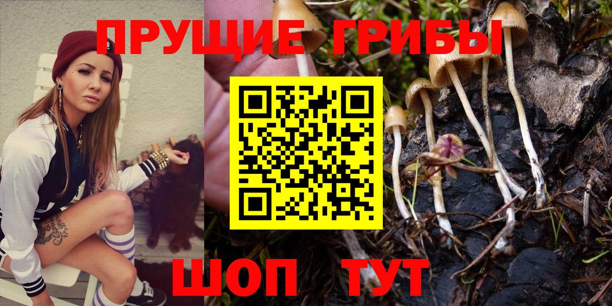Псилоцибиновые грибы мицелий Пыть-Ях